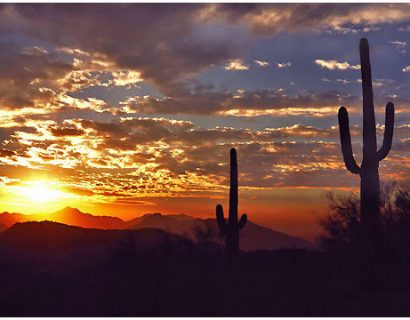 Arizona